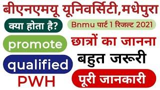 क्या होता है?Promote||PWH||Qualified||bnmu part 1 result 2021||promote का मतलब क्या होता है?