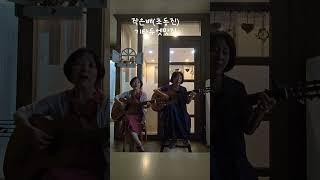 작은배(조동진) 기타듀엣, 추억소환, 통기타음악, 올드팝, 7080추억의노래, 힐링음악, 수면음악