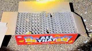 ALL THAT AND A BAG OF CHIPS 185 SHOT FIREWORK (MAXIMUM INSANITY)