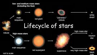 Star lifecycle #star #neutronstar #nebula #astronomy #whitedwarf #protostar #science #