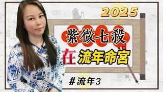 靈機靈姬學院-紫微斗數-2025流年3 「紫微七殺」在流年命宮 Zi Wei Dou Shu is a branch of Chinese Astrology.