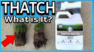 What is Thatch and How to Manage it!  Improving the Health of Your Lawn (Soil Microbiology)