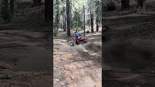 Should I post ATV content?#donut #polarispredator500 #offroad #atv