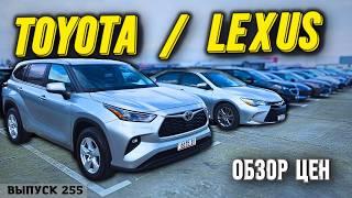 Обзор цен на Lexus и Toyota рынок AUTOPAPA. Авто из США. Копарт. ИААИ #automobile #mastervadya #top