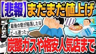 【５ｃｈスレまとめ】まだまだ値上げ、炭酸ガスや格安人気店まで【ゆっくり】