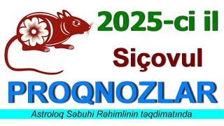 2025: Siçovul ilinin proqnozları