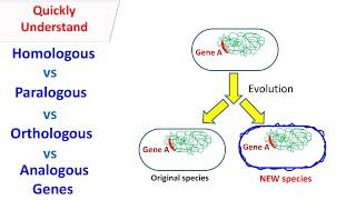 Homologous, Orthologous, paralogous, Analogous genes.