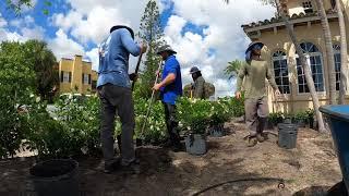 Extreme Gardens-Full Landscape Installation