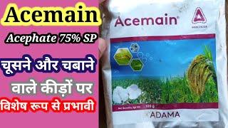 #Adama Acemain। Acephate 75% SP ।