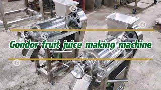 Industrial Fruit and Vegetable Cold Press Juicer #gondor #coldpressjuicer #fruitandvegetables