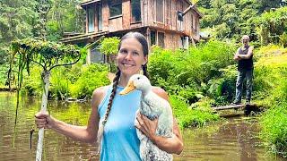 Our Ducks Help Clean Neighbor Al's Pond