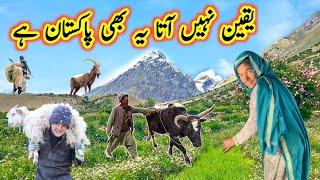 Unseen Pakistani Village Life at Top of Mountain | Ancient Culture | Rural Life | Gilgit Baltistan