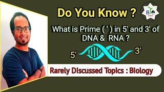 What is ( ' ) PRIME in 5' and 3' in DNA RNA ? !! DNA & RNA !! Basics - BioLogics