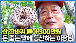 1등급 1kg에 14만원 호가하는 전국민 사랑 받는 귀한 버섯의 정체┃딱 한철 산 한바퀴 돌며 돈 줍는 마을 사람들┃능이버섯 채취┃극한직업┃#골라듄다큐