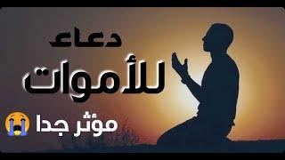 دعاء للميت || الدعاء الذي سوف يسعد كل ميت من أحبائك || صدقة جارية || القارئ عبدالجليل الزناتي