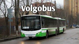 Volgabus