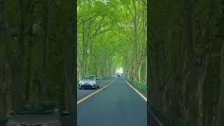 dharkne bechen hai kya hasi khwab hai # #roadtrip #nature #road # hindisong #trip #highway