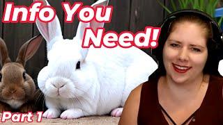 Critical Basics of Rabbit Care | A Veterinarian Explains Part 1