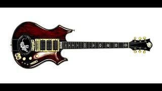 Loaded PHRED "Liger" Guitar Jerry Garcia Tiger Unboxing