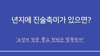 사주일반이론ㅣ년지에 진술축미가 있을 때 - 조상의 한을 풀고 한 번은 성공한다.