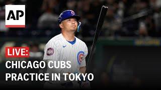 MLB Tokyo Series LIVE: Chicago Cubs practice ahead of game vs LA Dodgers