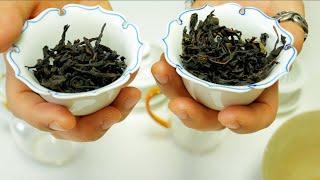 Wuyi Rock Tea vs Dan Cong Oolong  feat. Oolong tea comparison tasting