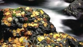 Evgeny Lebedev "Fall" (W. Shorter)