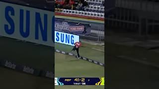 AMAZING boundary catch! 