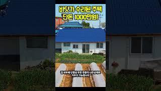 단돈 1000만원~ 농막보다 싸다! 바닷가인근 시골집 #shorts