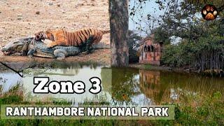 Ranthambore - Zone 3 Wildlife Documentary 2021 | The Fortress of Legendary Tigress Machali