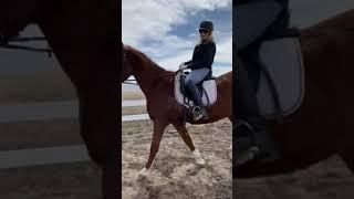 Horse Property Realtor rides acreage in Denver.