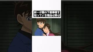 【名探偵コナン】新一、蘭の胸好きすぎるだろw#アニメ #雑学 #名探偵コナン