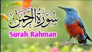 سورة الرحمٰن ||Surah Rahman beautiful recitation