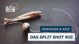 Das Split Shot Rig - Nippon Tackle Montagen & Rigs