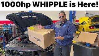 IT’s Here! 1000hp Whipple for DARK HORSE MUSTANG!