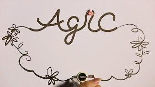 AgIC Erasable Circuit Marker Kickstarter PV