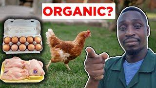 Can You Trust Organic Chickens? The Shocking Truth They Didn't Tell You!