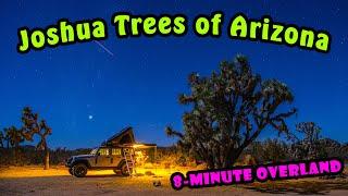 The Joshua Trees of Arizona - A Simple, Silent 8-Minute Overland Adventure