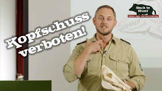 Blattschuss vor Kopfschuss | Back to Hunt