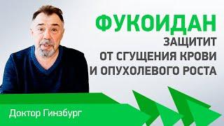 Фукоидан защитит от сгущения крови и раковых опухолей