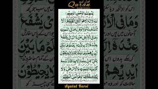 #ayatulkursi #ayatkursi #ayatul_kursi #kursi #quran #quraan #quranrecitation #recitation #islam #1m