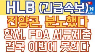 HLB 에이치엘비 매수 매도 주가전망 - 긴급속보) 진양곤, 분노했다! 항서 FDA 서류제출, 결국 이번에 못한다!