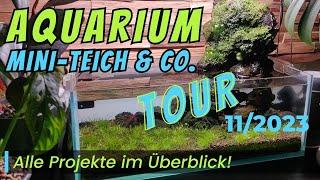 Aquarium, Mini-Teich & Co. Tour 11/23 -Alle Projekte November 2023 #aquaristik