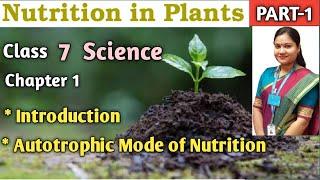 Nutrition in Plants | Part 1 | NCERT Science Class 7 Chapter 1