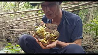 LARGE GOLD ORE EP-28, Gold Discovery Beneath a Giant Rock – Found with Dowsing and Tech