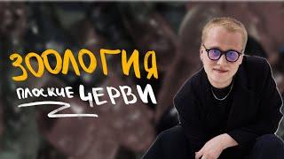 Биология ЦТ/ЦЭ | Зоология. Плоские черви | Ян Менделеев