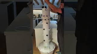 1 month growth on an aeroponic Tower Garden. Tower Garden assembly with the LED grow light kit.