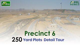 Precinct 6, 250 Yards Plots  Detail Tour