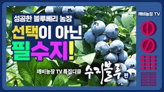 깨비농장 TV 특집다큐 _수지블루  선택이 아닌 필수입니다.