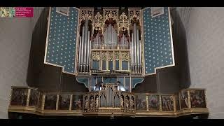 Italian and Spanish organ music, played by Luca Scandali (live recording)